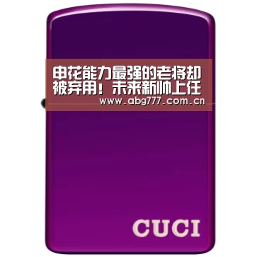 申花能力最强的老将却被弃用!未来新帅上任或能重返主力?:欧博官方平台(图1) 欧博