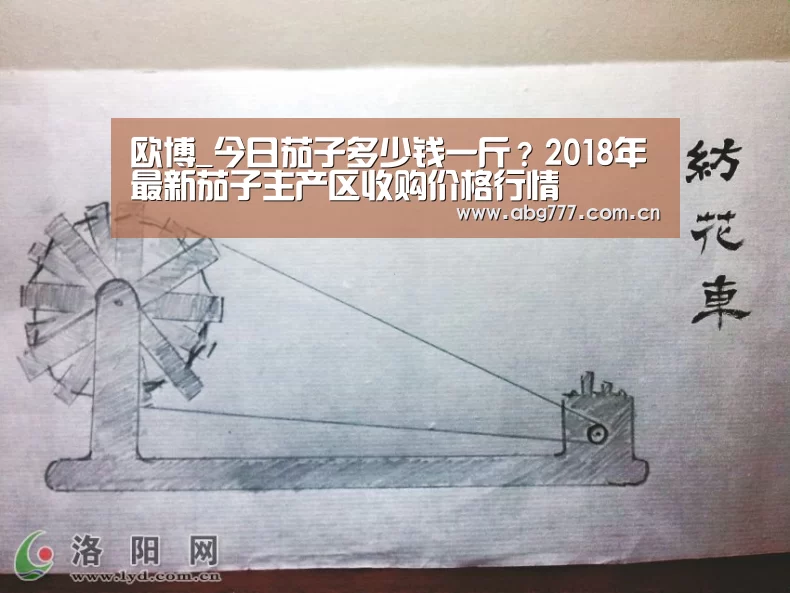 欧博服务