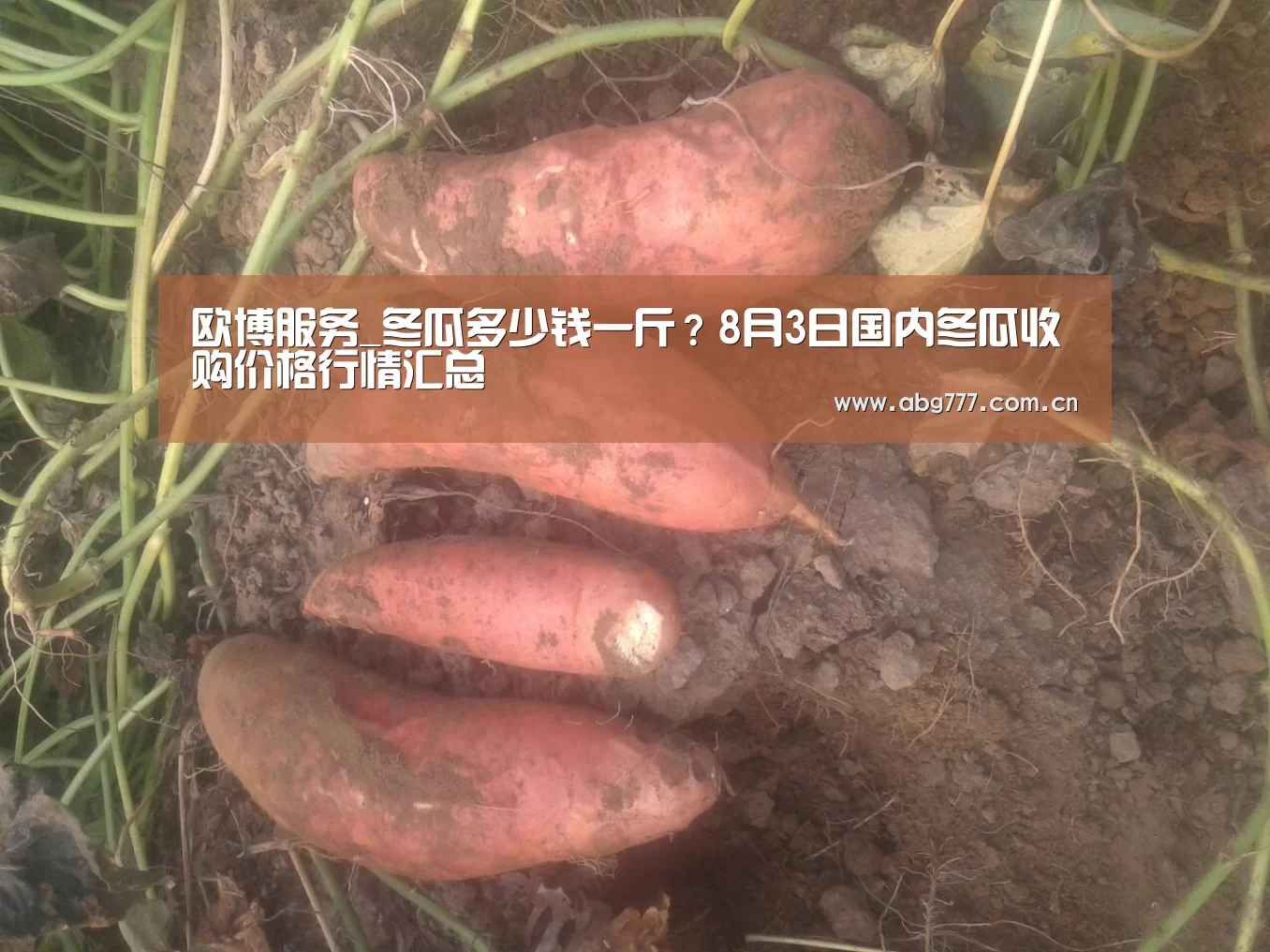 欧博官网