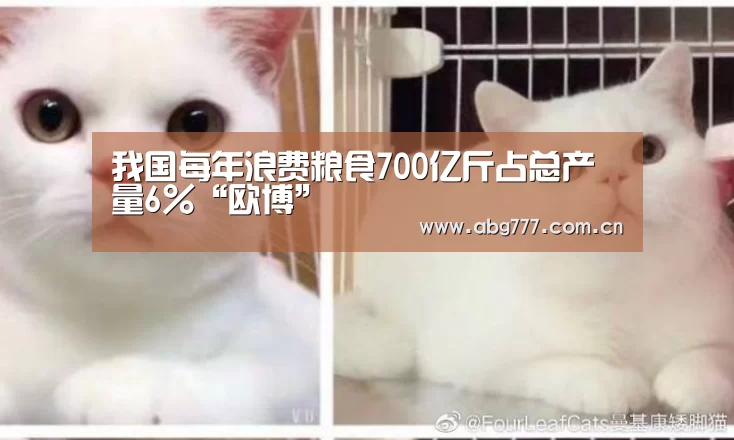 欧博官方平台