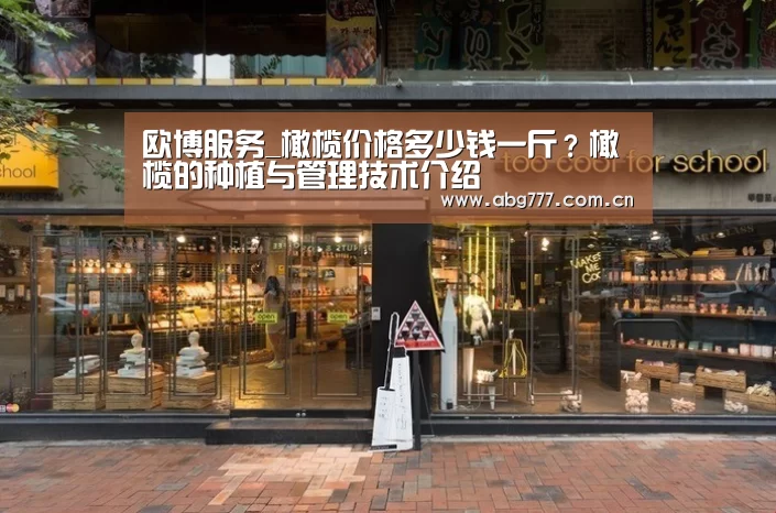 欧博